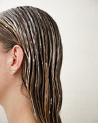 Shiseido Fino Premium Touch Hair Mask